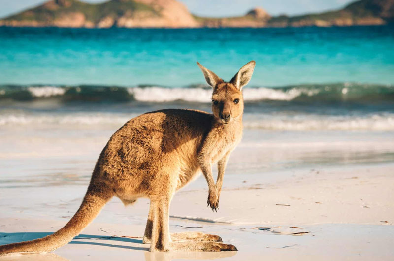 australia1