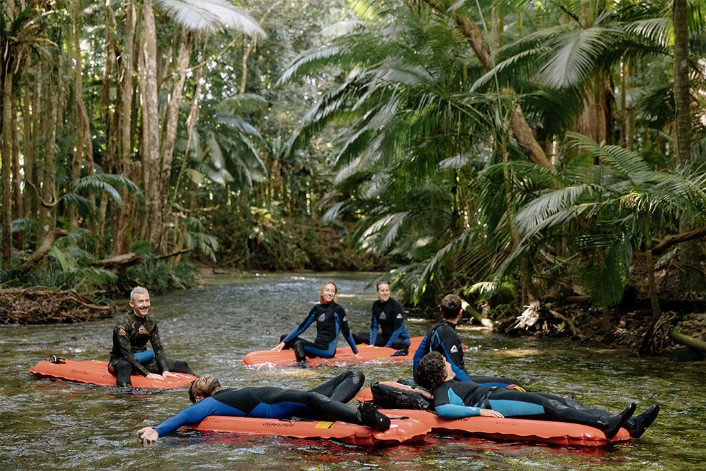 Daintree Rainforest River Drift tours Daintree Rainforest River Drift tours